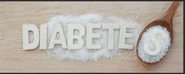 Christiane Scherer Vortrag Diabetes